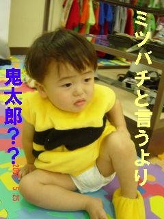 ミツバチ？０５０５２５