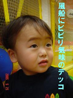 ビビリ０５０５２５