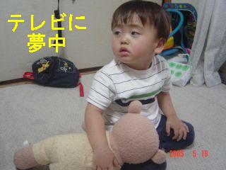 夢中なの０５０５１９