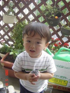 ベランダ０５０５１９