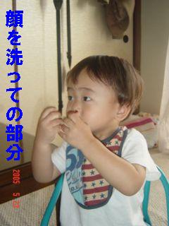 顔を洗ってるよ０５０５２３