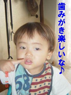 歯を磨いてます０５０５２３