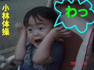 わっ！０５０５２０