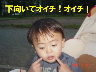 おいち０５０５２０