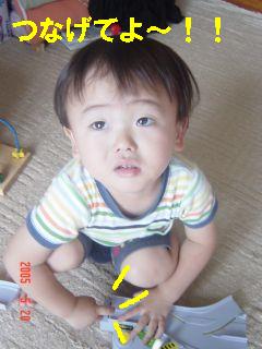 お願い０５０５２０