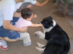 腰が引けてるし・・・