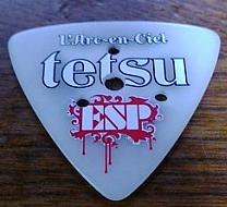 てっちゃんピック裏