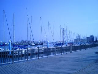 １１・１３清水港