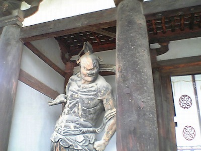V9020012.jpg