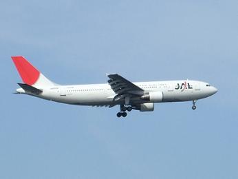 JAL 03
