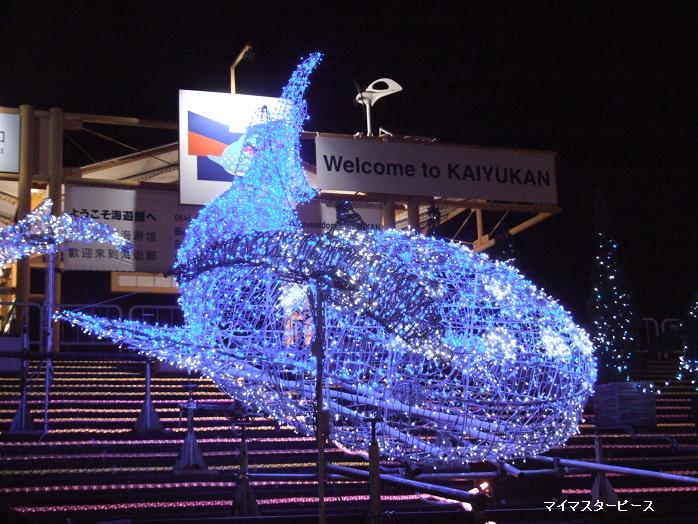 海遊館　７