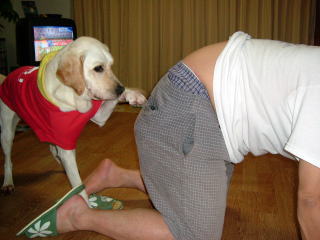 ちょっと、パパ最近太りすぎじゃない？