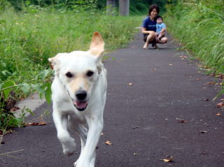 夏井川渓谷でダッシュ！