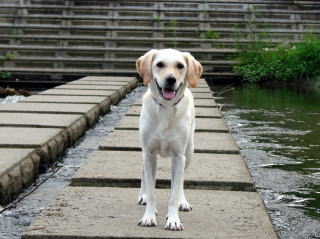 かわいいね～！ベリー！！