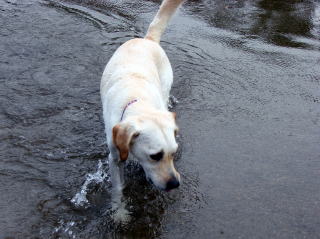 枝はどこかなぁ～？