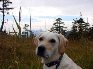 グランデコ散策