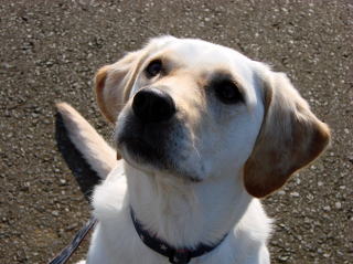 おやつちょうだい～♪