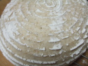 071116　カンパーニュ