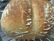 071116　カンパーニュ2