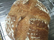 071116　カンパーニュ3