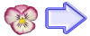 icon arrow