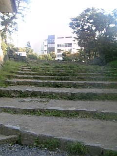 三陽株主セールの帰り道