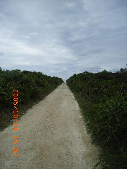 久高島カベール岬へ通じる道