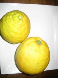レモン