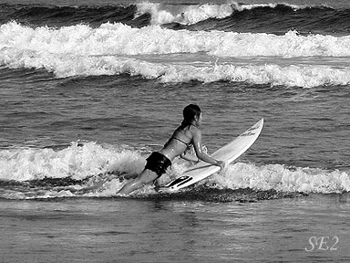 A Surfer Girl