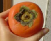 ハローウィン柿