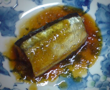 20090205205518.jpg