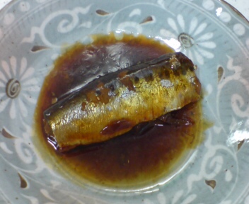 20090205205619.jpg