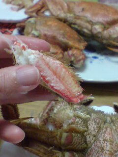 20080404204216.jpg