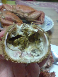 20080404204415.jpg