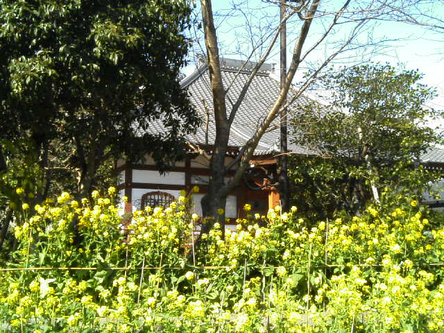 養源寺
