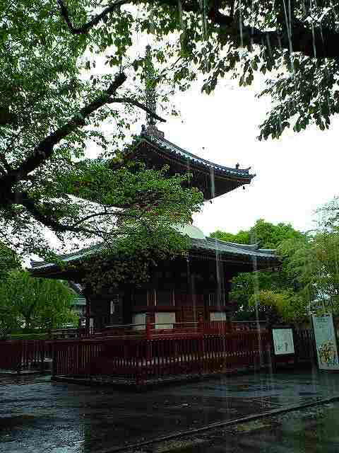 雨に煙る多宝塔