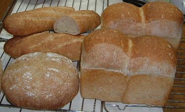 06.3.5生食酵母ぱん5.JPG