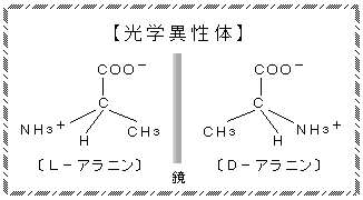 Α-アミノアジピン酸