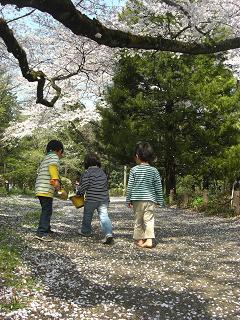 お花見　桜吹雪２.jpg