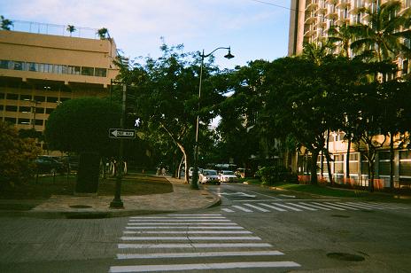 baniyan kuhio.jpg