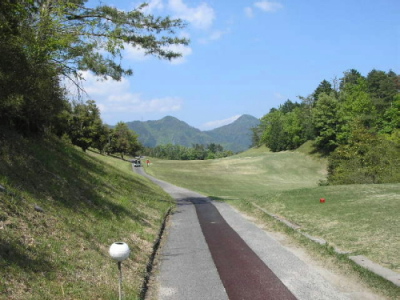 椿１５番ＰＡＲ５.jpg