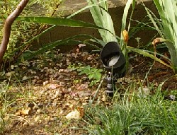 gardenlight1