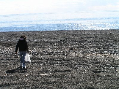 琴ヶ浜