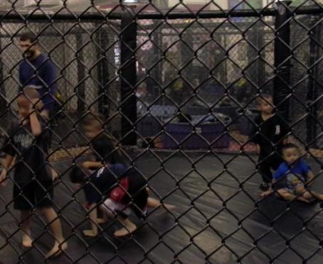 cagefights