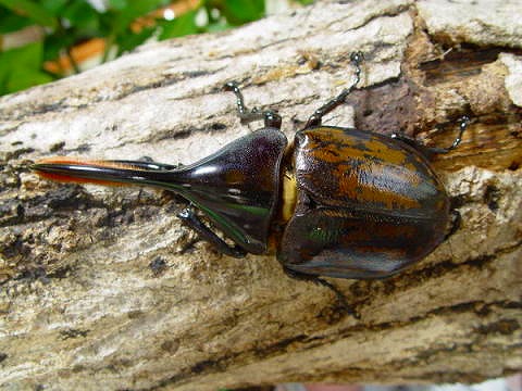 誰なんでしょうか・・・・？