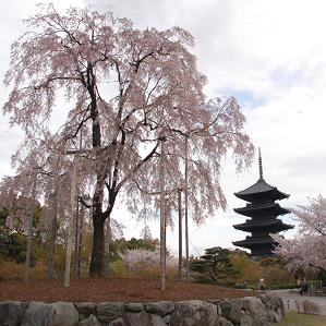 東寺　五重塔