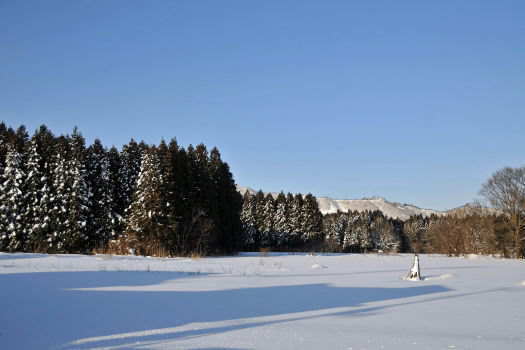 2009-0123-雪景色１