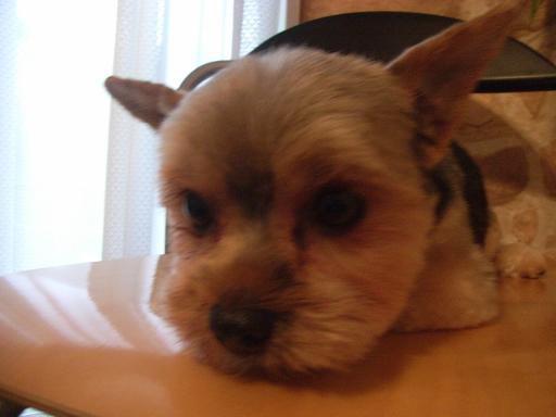 綺麗になった？・・・杏