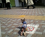 みんな　どこいくの？