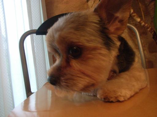 横もすっきり!・・でしょ？　杏